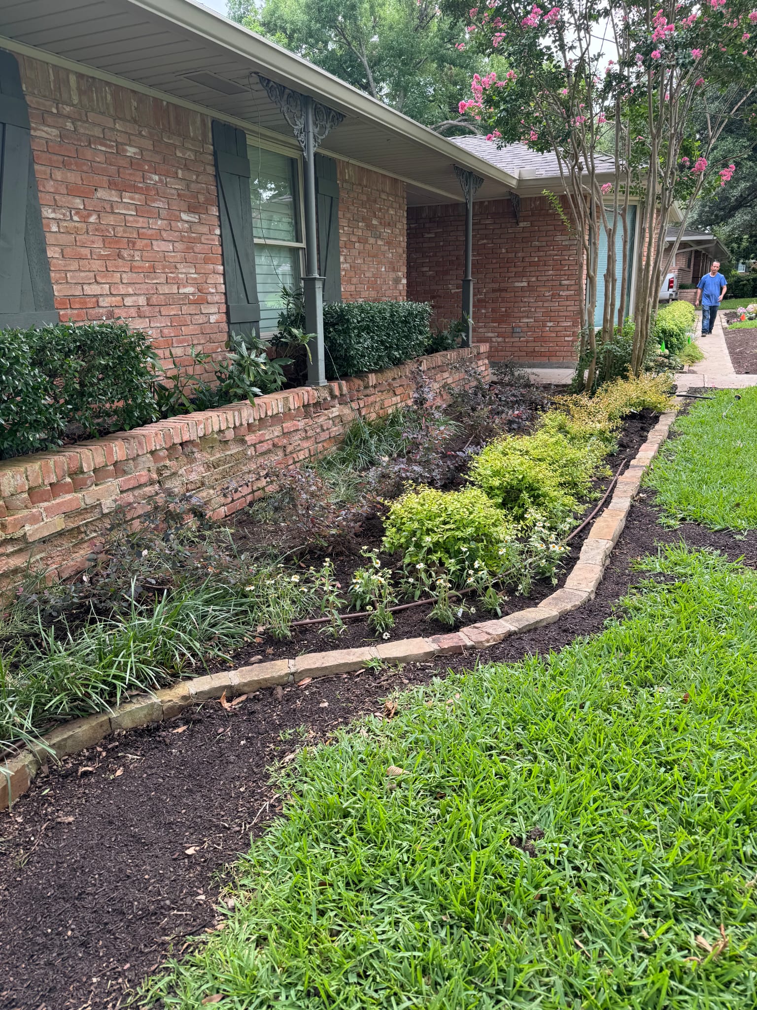 Brick home bed edging and planting