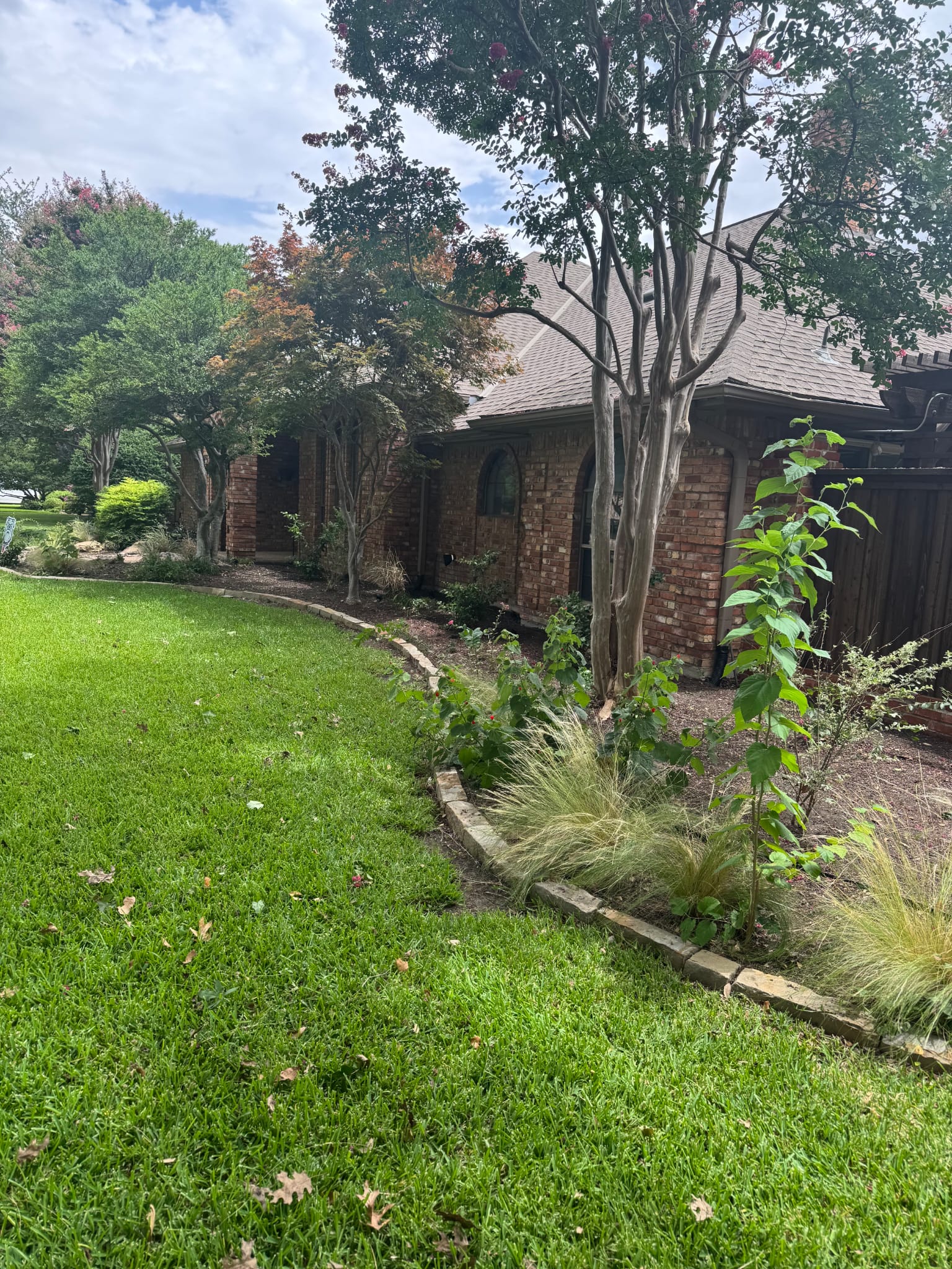 Curved landscape with ornamental grasses